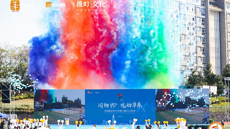 媒介投放案例：优缺点解析与策略优化